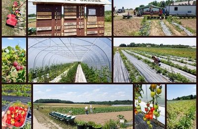 Marie’s Garden - une cueillette BIO aux portes de Bruxelles - Fermé