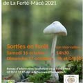 LA FERTE MACé - Journées mycologiques