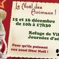 Samedi 15 et dimanche 16 décembre, le Noël des animaux à la SPA de L'Agglo, à Villeneuve les Maguelone