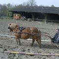 Le poney, ça fatigue...