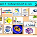 Guide de l'insertion professionnelle des jeunes de la Réunion