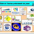 Guide de l'insertion professionnelle des jeunes de la Réunion