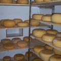 Les fromages