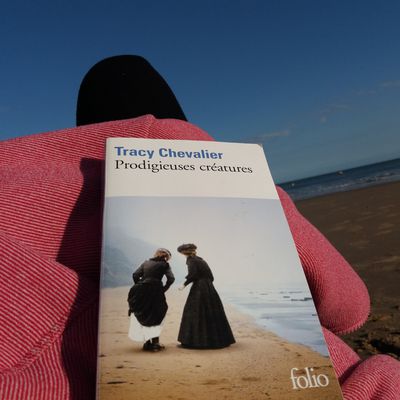 🌞🏖Journal d'été, suite et fin🦋🌻