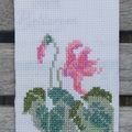 ECHANGE ATC CYCLAMEN CHEZ TORTUE