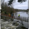 Le courant et les branches