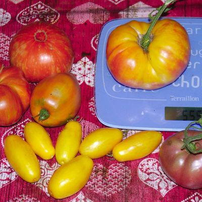 Récoltes de Septembre