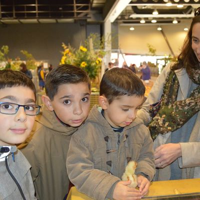 mini salon de l'agriculture
