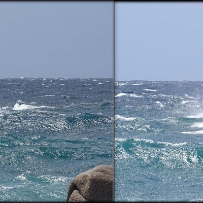 COMME UN GOITER ! ...