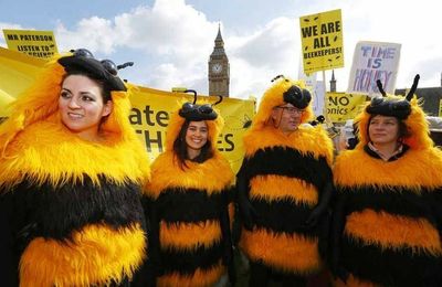 ABEILLES : UNE GIGANTESQUE ESCROQUERIE EST EN TRAIN DE SE METTRE EN PLACE À BRUXELLES