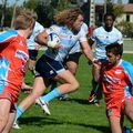 Reprise de l'école de rugby