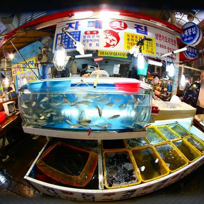 Corée : Marché populaire (suite)