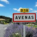 Avenas