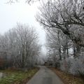IMAGE HIVERNALE...