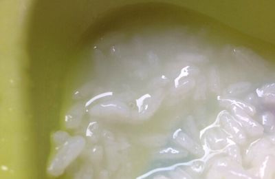 Crème de riz - à partir de 9 mois