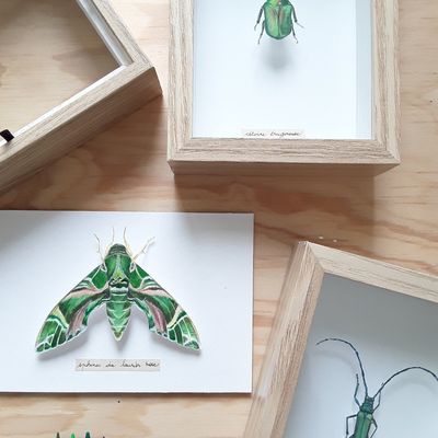 Du printemps plein les mirettes!