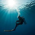 Les secrets de la mer révélés : plongée au cœur de l'océan