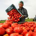 Reportage de L'Espresso "Io, schiavo in Puglia"