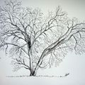 Arbre en hiver