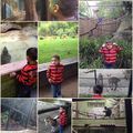 Visite du zoo du jardin des plantes 