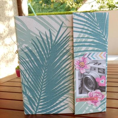 ALBUM " JARDIN DE BALATA"