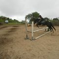 stage équitation