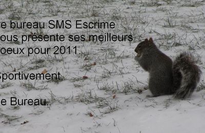 Bonne Année 2011!