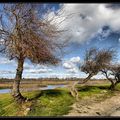 Nord Bassin d'Arcachon, au bord de l'eau..