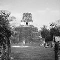 S4. ElRamate - Tikal