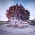 Rond-point à Reinach (Suisse)