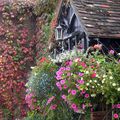 Hanging baskets