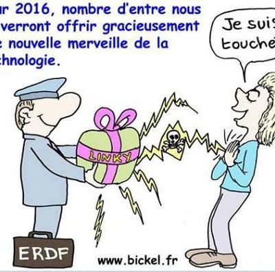 Interview de Stéphane LHOMME sur France info/Les compteurs communicants