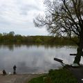 CANDES-SAINT-MARTIN(37) - Au confluent de la Loire et de la Vienne