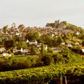 RANDONNÉE DANS LES VIGNOBLES du SANCERROIS