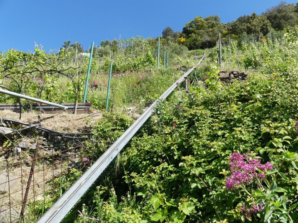 Séjour dans les Cinque Terre - De Riomaggiore à Porto Venere