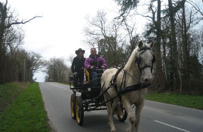 moi mon meneur et miss aurelia  le 31 mars 2010