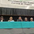 Maires ruraux