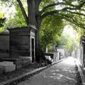 LE TOMBEAU