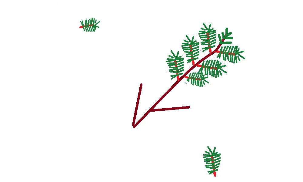 Si tous les sapins du monde "parlaient "