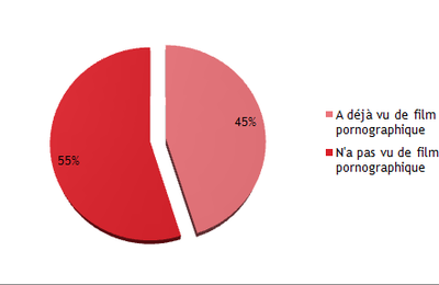 La pornographie, artistique ?