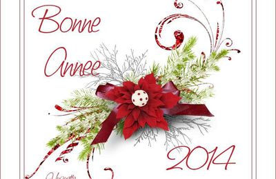 Bonne Année 2014