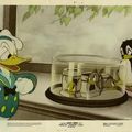 Le Pingouin de Donald