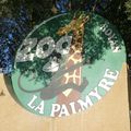 27 - Zoo de La Palmyre