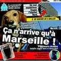 Marsille , il se passe toujours quelquechose !