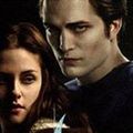 Une pétition pour le cinquième tome de Twilight
