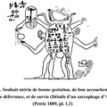 OBSTÉTRIQUE - XVIII