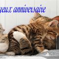 Joyeux anniversaire