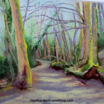 Sous bois - Le PED - Lampaul Guimiliau (29)