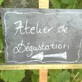 Les 5 & 6 Avril: Atelier initiation à la dégustation en cave de Bourgueil