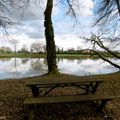 L'Etang de SAINT JEAN DE LIER (40)...